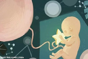 供卵试管服务